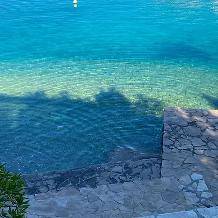 Bilo Primošten