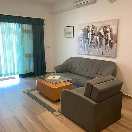 Bilo Primošten