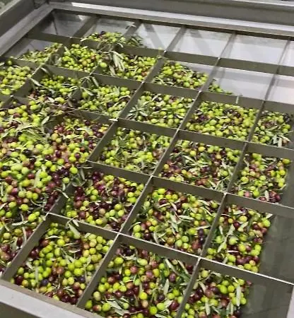 Bilo Διαμέρισμα