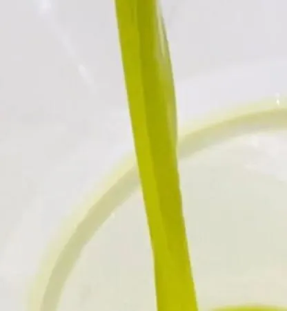 Διαμέρισμα Bilo