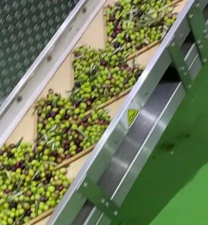 Bilo Apartament Primošten