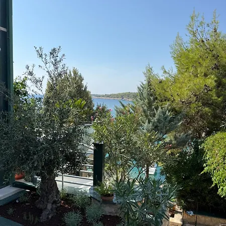 Bilo *