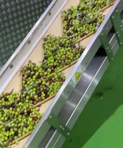 Bilo Appartamento Primošten